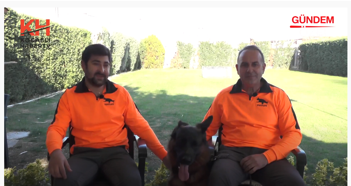 VONTUNİ ALMAN ÇOBAN KÖPEKLERİ KOCAELİ