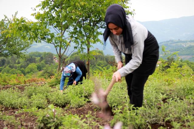 Kırsalın girişimci kadınları, bu projeyle daha da güçlendi