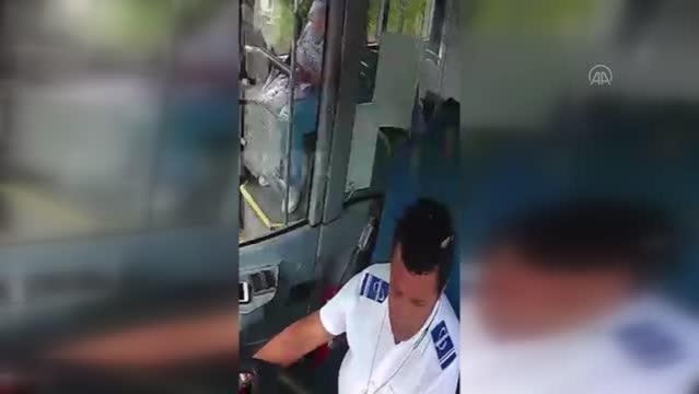 Kocaeli’de otobüs şoförü yolda ezilme tehlikesi geçiren kaplumbağayı kurtardı