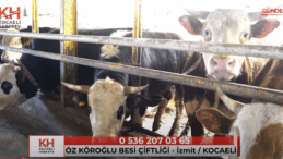 ÖZ KÖROĞLU BESİ ÇİFTLİĞİ – İZMİT / KOCAELİ