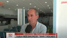 Tuzla Reis Balıkçısı | Denizden Sofranıza Taptaze ve Lezzetli Balıklar!