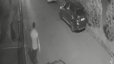 Sürü halinde gelen başıboş köpeklerden duvara tırmanarak kurtuldu