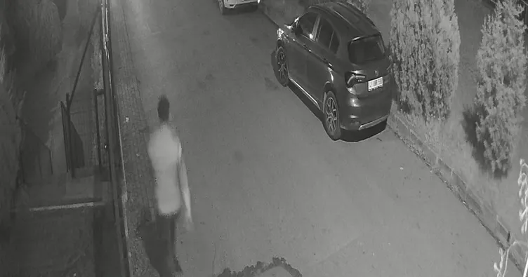 Sürü halinde gelen başıboş köpeklerden duvara tırmanarak kurtuldu