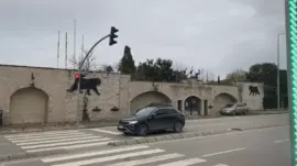 Darıca Hayvanat Bahçesi Kapandı