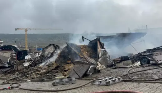 Dilovası’ndaki Ahır Yangını: 460 Hayvan Telef Oldu