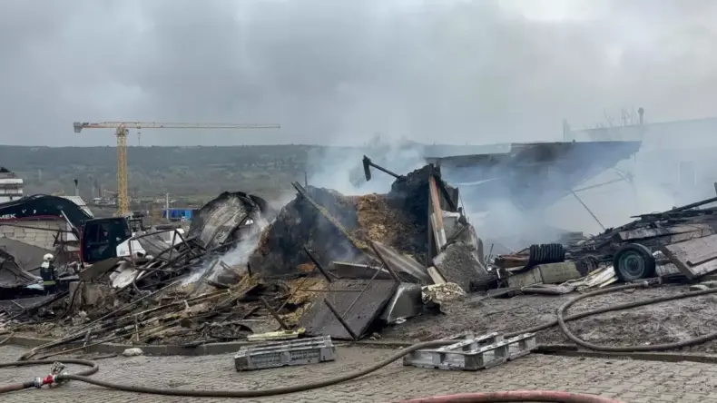 Dilovası’ndaki Ahır Yangını: 460 Hayvan Telef Oldu