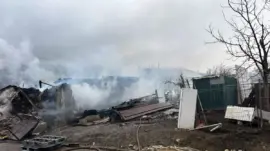 Dilovası’nda Ahır Yangını: 50 Küçükbaş Hayvan Yok Oldu