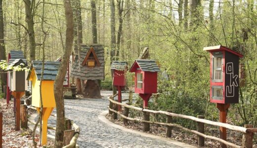 Ormanya’da Kitap Keyfi