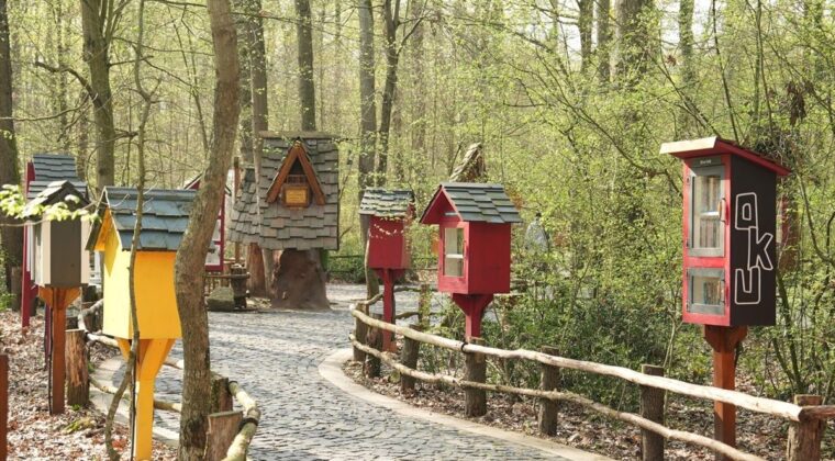 Ormanya’da Kitap Keyfi