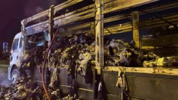 Kocaeli’de Kamyon Yangını: Tekstil Yükü Kül Oldu