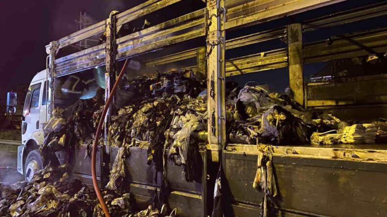 Kocaeli’de Kamyon Yangını: Tekstil Yükü Kül Oldu