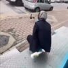 Kedinin yüzüne sprey sıkan market çalışanı gözaltına alındı