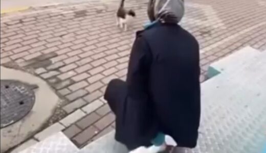 Kedinin yüzüne sprey sıkan market çalışanı gözaltına alındı