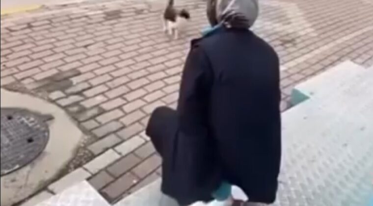 Kedinin yüzüne sprey sıkan market çalışanı gözaltına alındı
