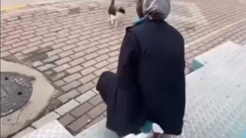 Kedinin yüzüne sprey sıkan market çalışanı gözaltına alındı